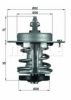 BEHR TX 69 79 Thermostat, coolant